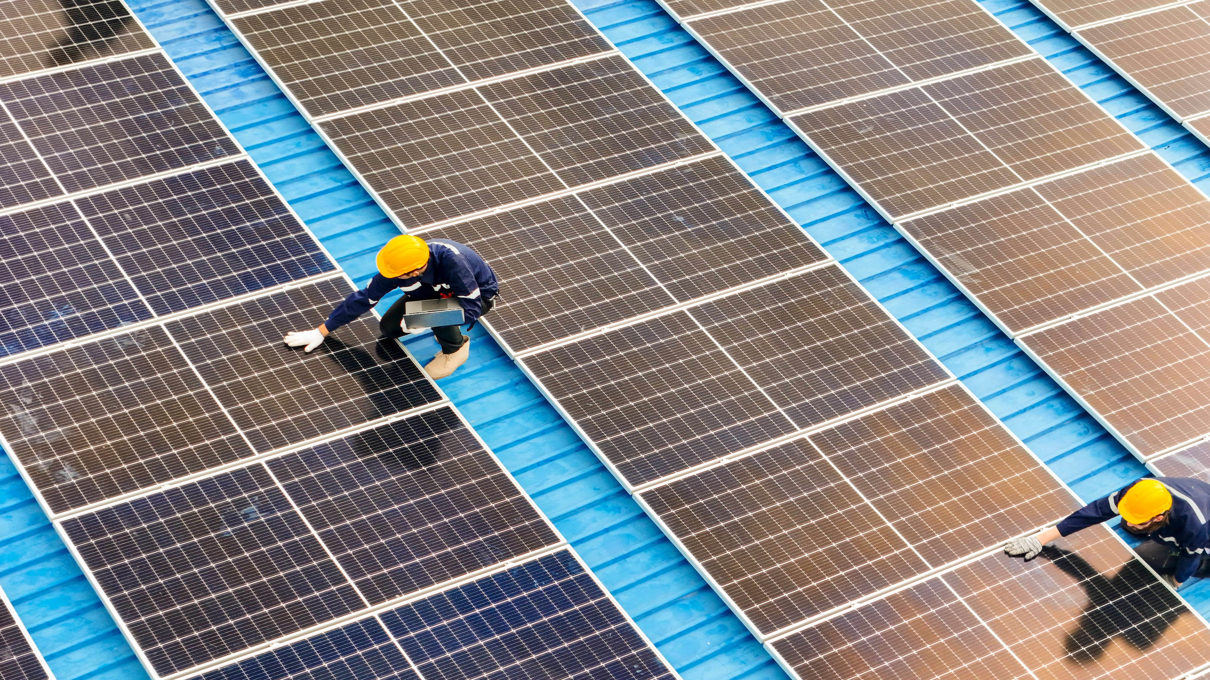 Sustainability Image